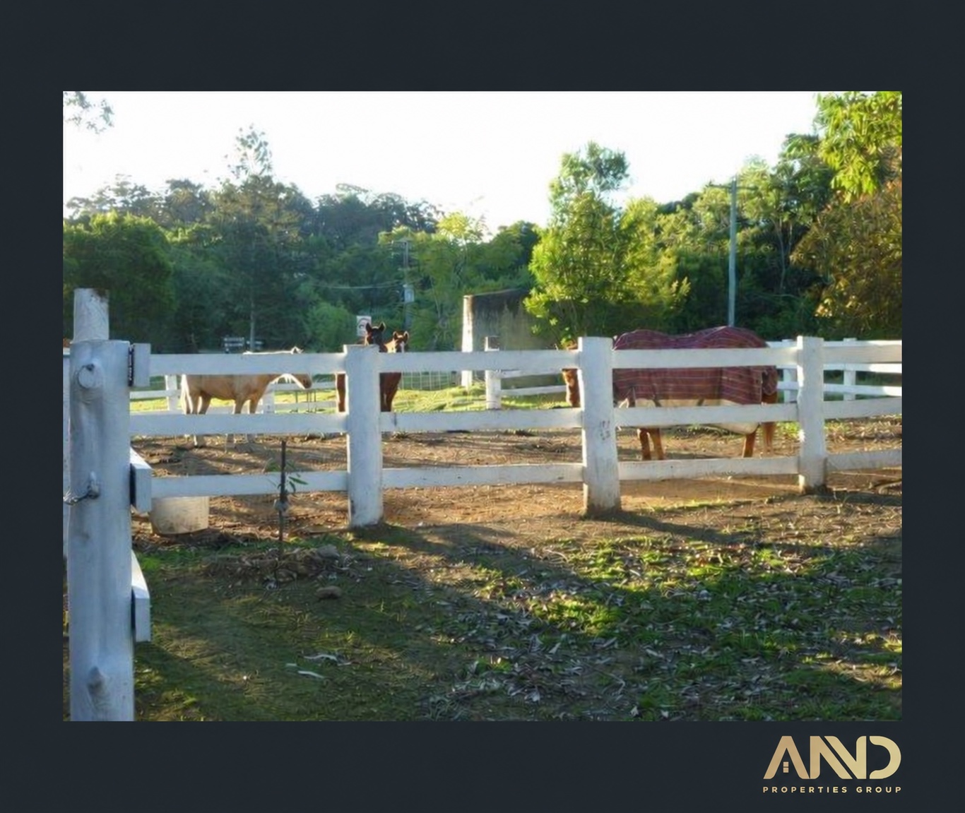 Country Retreat for Lease | Holiday Cabins, Recreation & Tourism Potential|14 bedrooms + 11 Barthroom + Full restaurant setup — image 2